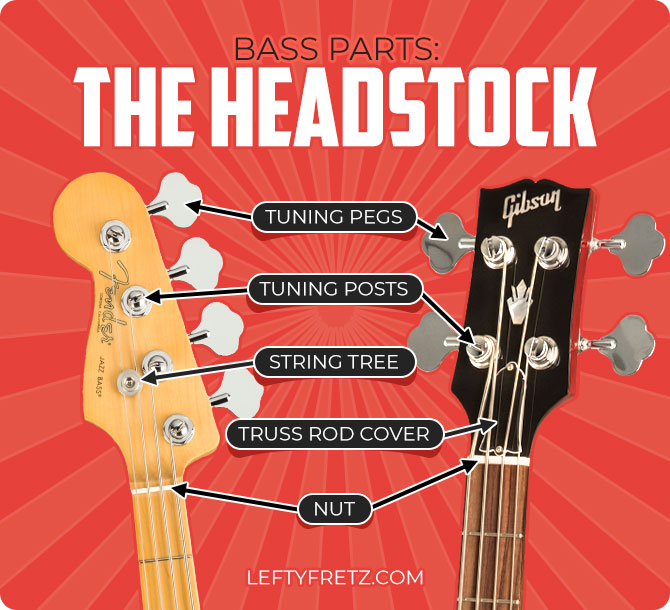 Bass Guitar Anatomy