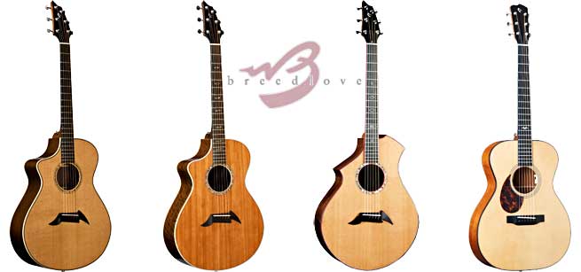 Breedlove left handed acoustic guitar lefty southpaw