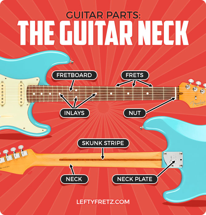 Guitar Neck Parts Diagram