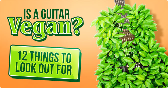 Is A Guitar Vegan