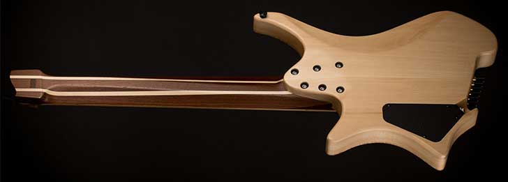 Strandberg Endurneck Profile