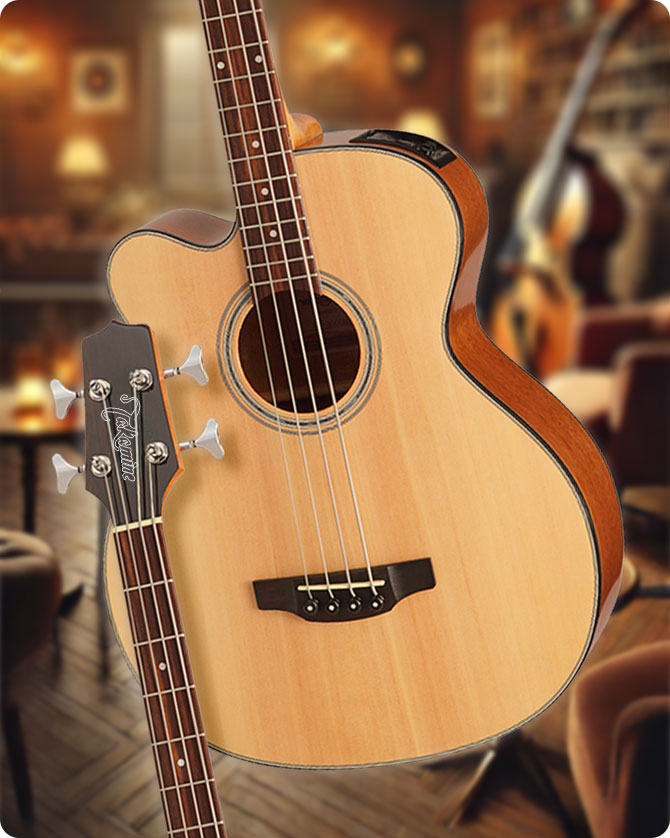 Takamine GB30CE