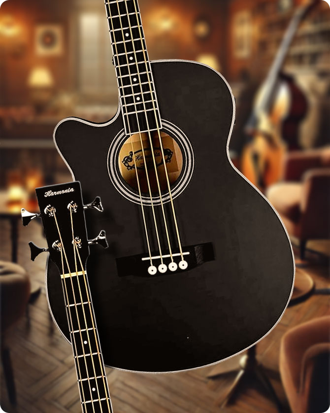 Tario Left Handed Acoustic Bass