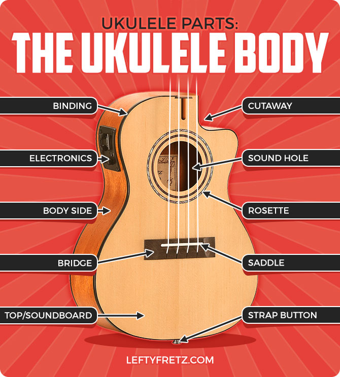 Ukulele Body Parts Diagram