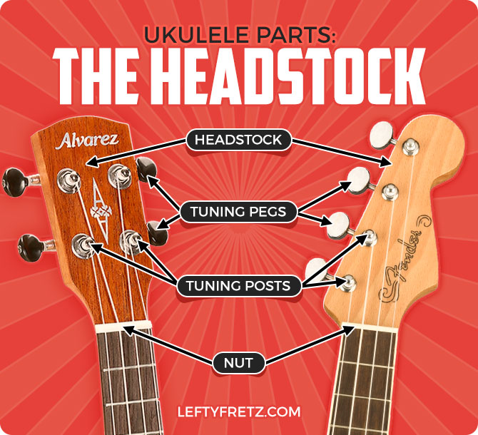 Ukulele Headstock Parts Diagram