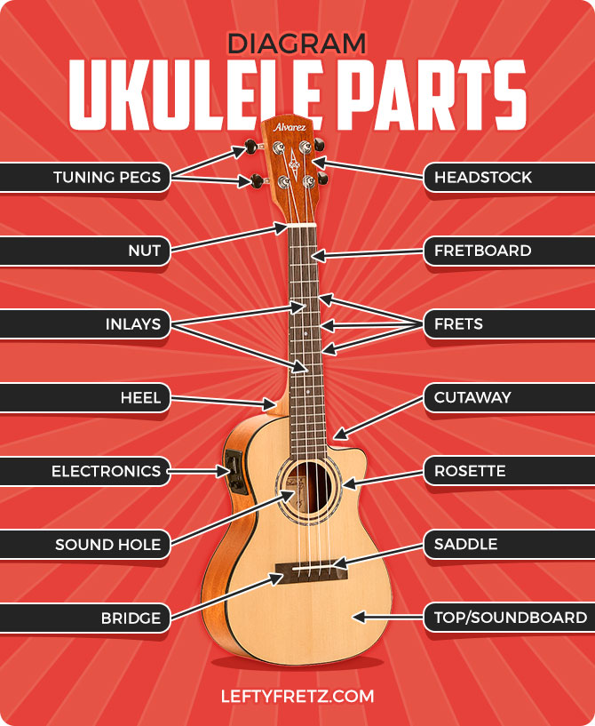 parts of the ukulele