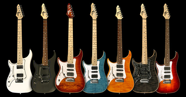 Left Handed Vigier Guitars