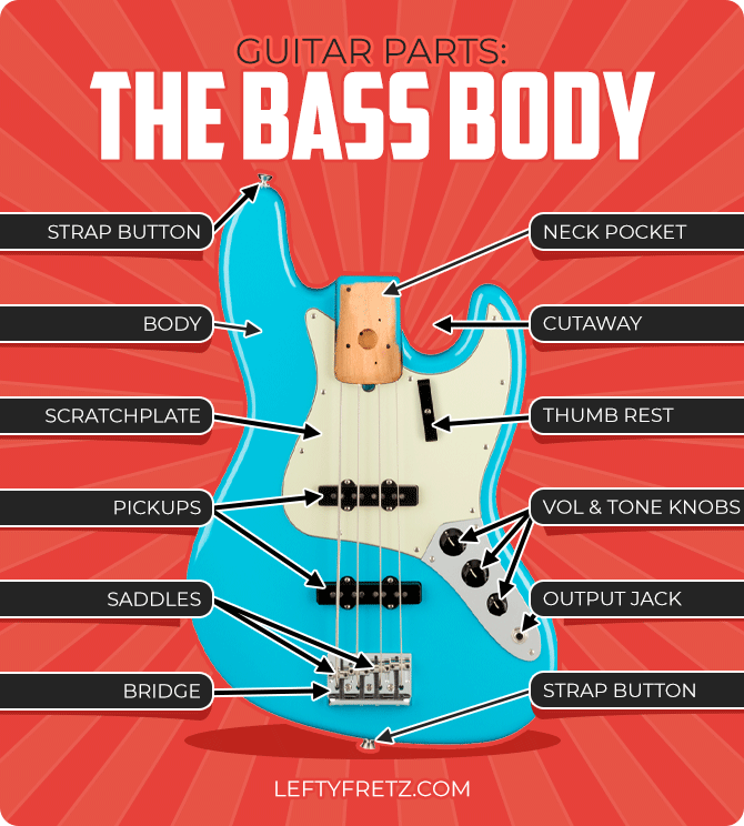 Bass Guitar Anatomy