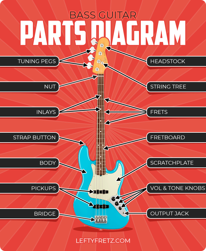 Parts of the bass guitar