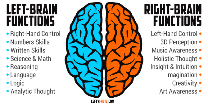 Left Handed Facts Diagram