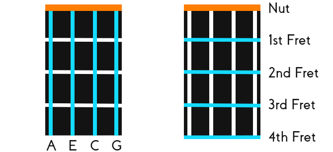 Lefty Ukulele Chord Lesson