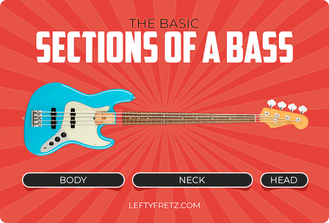 Parts Of Electric Bass