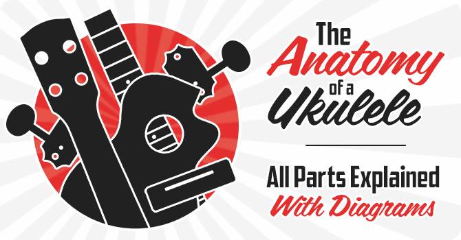 Ukulele Anatomy